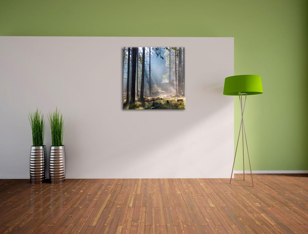Sonnenstrahlen im Wald, Format: 70x70 auf Leinwand, XXL riesige Bilder fertig gerahmt mit Keilrahmen