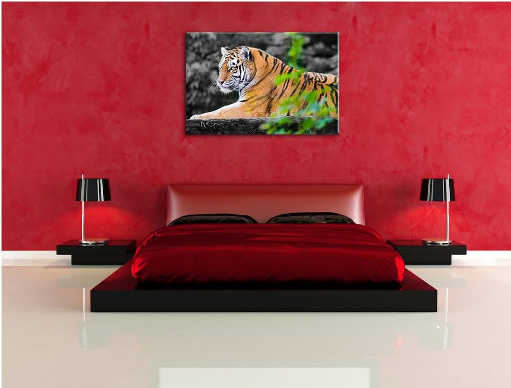 anmutiger Tiger auf Baumstamm schwarz/weiss auf Leinwand, XXL riesige Bilder fertig gerahmt mit Keil