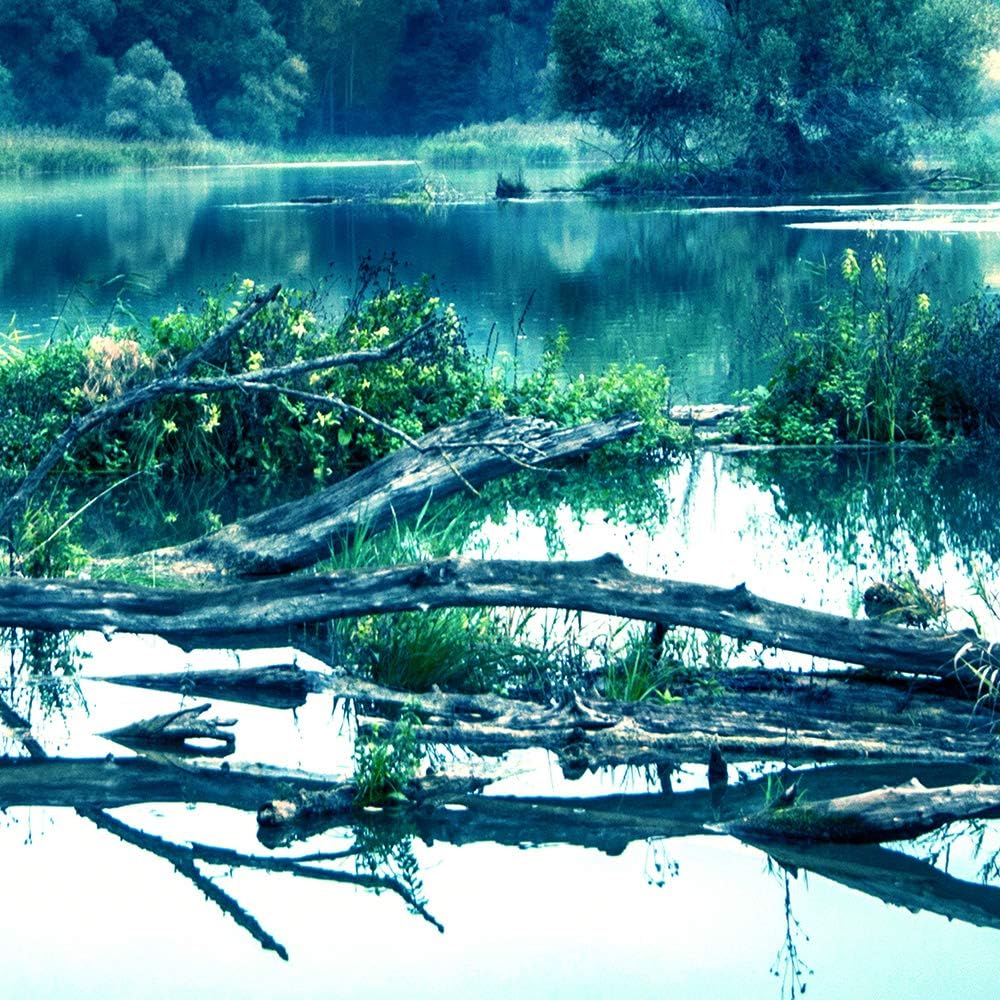 Bilder Natur 200x100 cm - Leinwandbild 5 Teilig XXL Kunstdruck Wald See blau Leinwandbild XXL 200x10