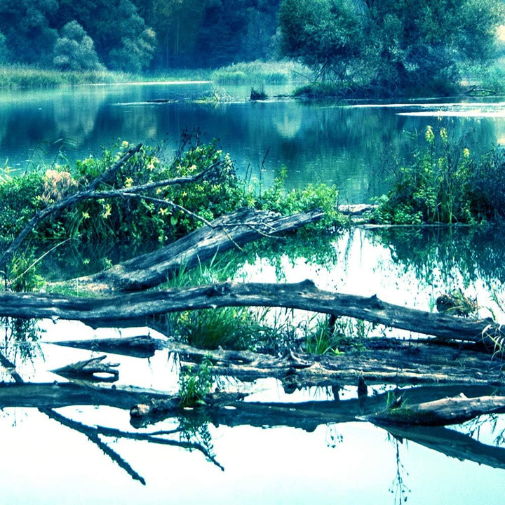 Bilder Natur 200x100 cm - Leinwandbild 5 Teilig XXL Kunstdruck Wald See blau Leinwandbild XXL 200x10