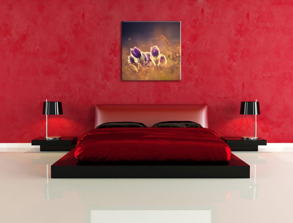 Pixxprint Lila Küchenschelle auf Bergwiese als Leinwandbild | Grösse: 70x70 cm | Wandbild | Kunstdru