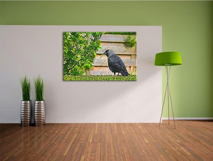 schöner schwarzer Vogel auf Gartenwiese NewArt Format: 100x70 cm auf Leinwand, XXL riesige Bilder fe