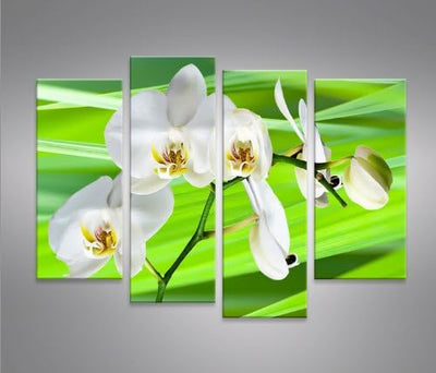 islandburner Bild Bilder auf Leinwand Green Flower Blumen 4er XXL Poster Leinwandbild Wandbild Dekoa