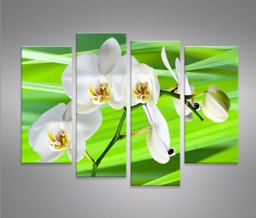 islandburner Bild Bilder auf Leinwand Green Flower Blumen 4er XXL Poster Leinwandbild Wandbild Dekoa