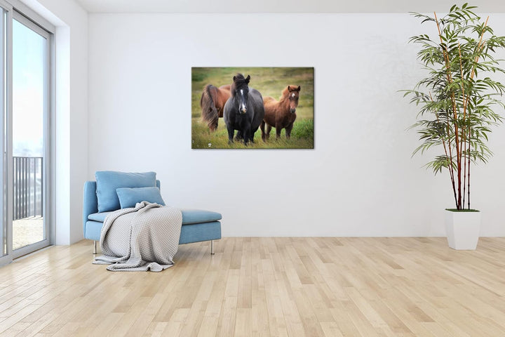 deyoli Pferdeherde auf der Feldlandschaft Format: 60x40 als Leinwand, Motiv fertig gerahmt auf Echth
