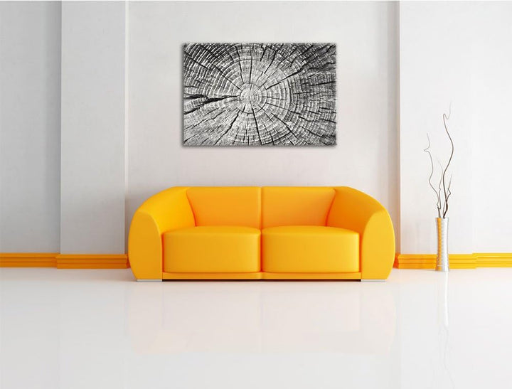 Baumstamm mit Jahresringen Deluxe Format: 100x70 cm auf Leinwand, XXL riesige Bilder fertig gerahmt