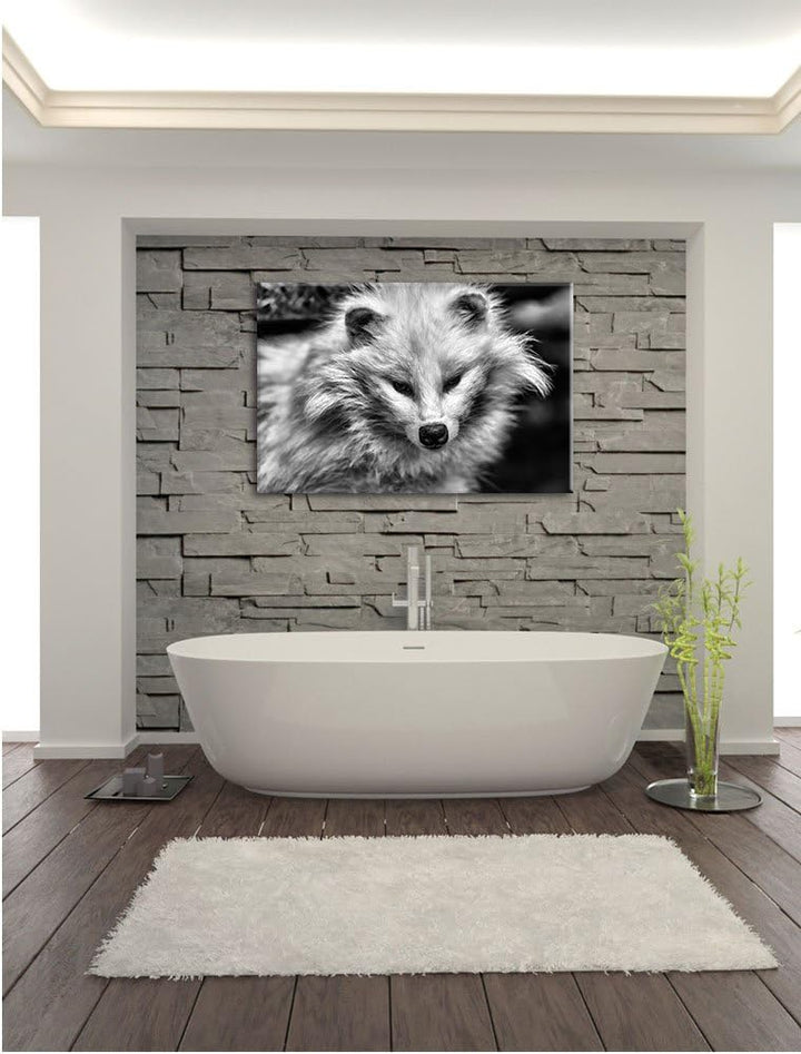 Pixxprint Kleiner Polarfuchs als Leinwandbild/Grösse: 100x70 / Wandbild/Kunstdruck/fertig bespannt,