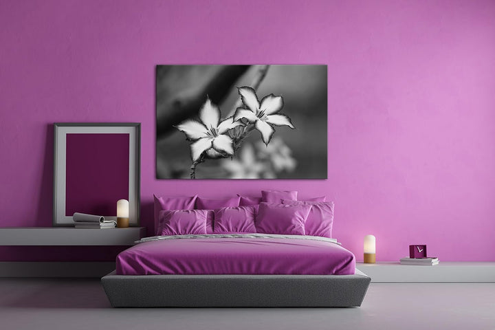 deyoli bezaubernde Impala Lily Effekt: Schwarz/Weiss Format: 80x60 als Leinwand, Motiv fertig gerahm