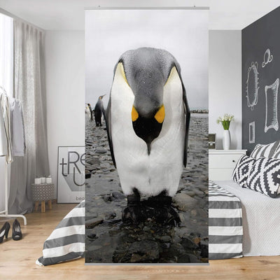 Bilderwelten Raumteiler Pinguine 250x120cm inkl. transparenter Halterung 250x120cm incl. transparent