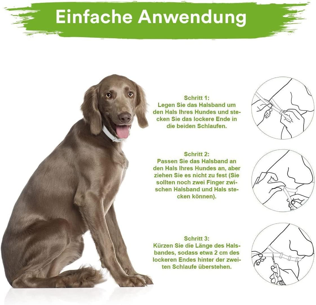 MC-Royal® Deluxe Zeckenhalsband für Hunde - 100% natürliche Inhaltsstoffe - bis zu 8 Monate zuverläs