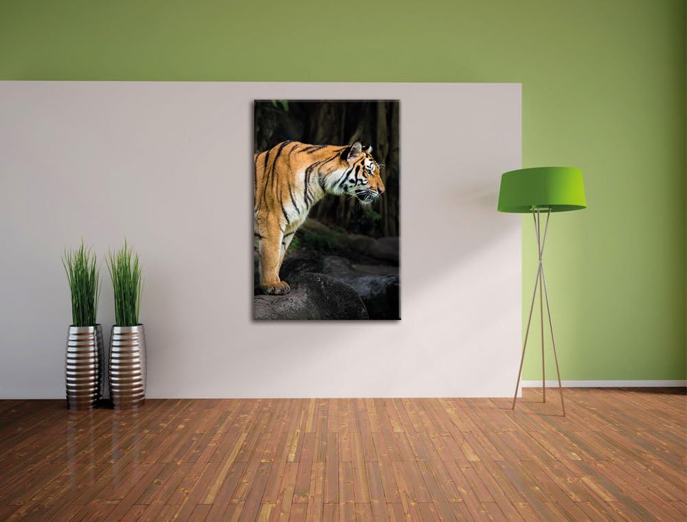Pixxprint Tiger, Format: 100x70 auf Leinwand, XXL riesige Bilder fertig gerahmt mit Keilrahmen, Kuns