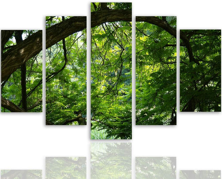 Feeby Wandbild XXL 5 Teilig Landschaft Leinwandbild Wald Bäume Blätter grün 300x140 cm Leinwandbild