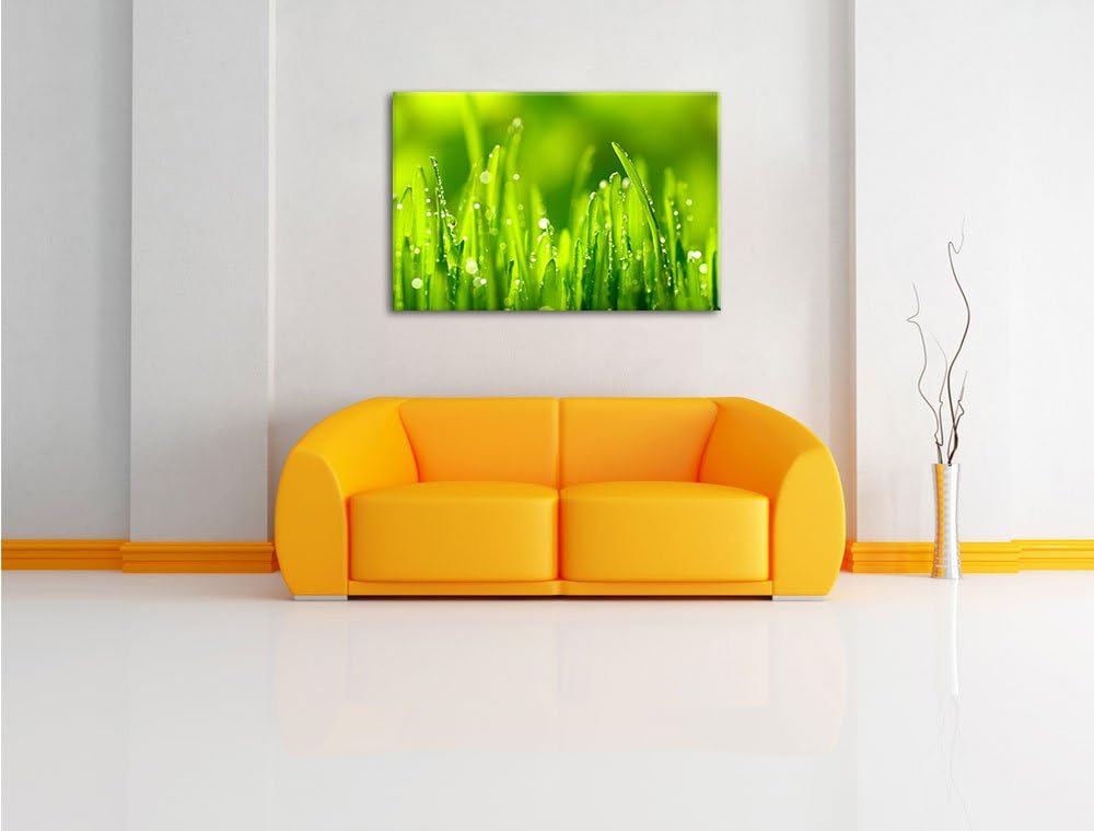 Grashalme mit Tauwasser, Format: 100x70 auf Leinwand, XXL riesige Bilder fertig gerahmt mit Keilrahm