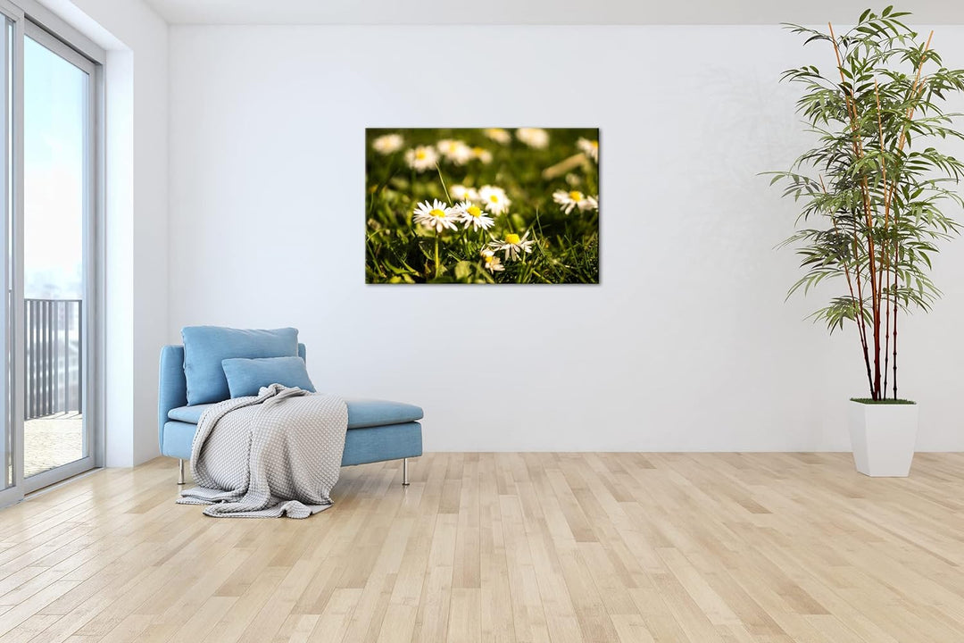 deyoli Gänseblümchen auf schöner Wiese im Format: 60x40 als Leinwandbild, Motiv fertig gerahmt auf E
