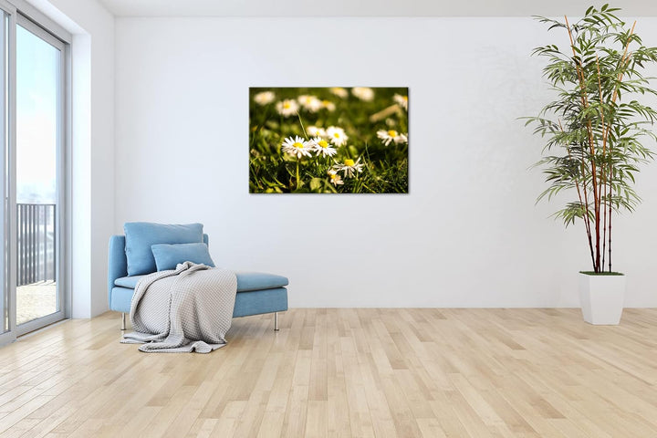 deyoli Gänseblümchen auf schöner Wiese im Format: 60x40 als Leinwandbild, Motiv fertig gerahmt auf E