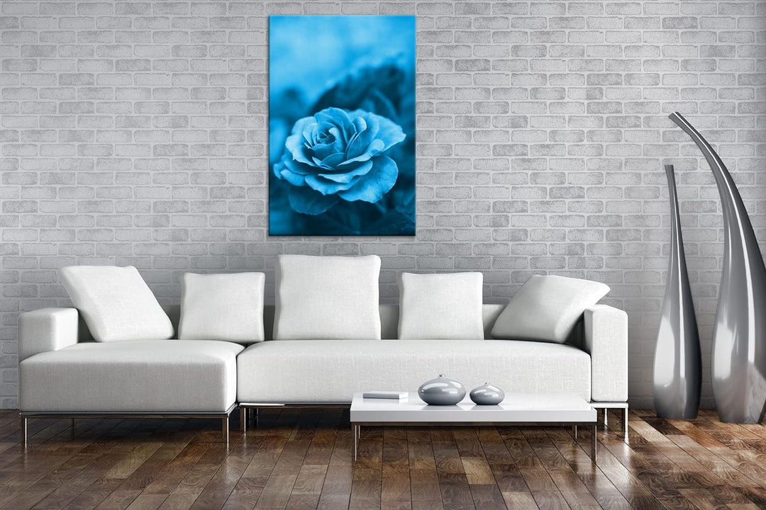 deyoli Rosarote Rosen Format: 60x40 Effekt: Monocrome Blau als Leinwand, Motiv fertig gerahmt auf Ec