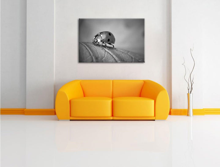 Pixxprint Kleiner Marienkäfer auf Blatt B&W als Leinwandbild/Grösse: 100x70 / Wandbild/Kunstdruck/fe