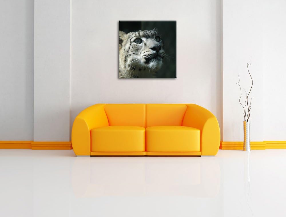 Pixxprint Leopard, Format: 70x70 auf Leinwand, XXL riesige Bilder fertig gerahmt mit Keilrahmen, Kun