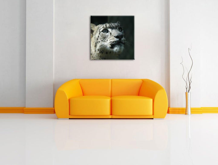 Pixxprint Leopard, Format: 70x70 auf Leinwand, XXL riesige Bilder fertig gerahmt mit Keilrahmen, Kun