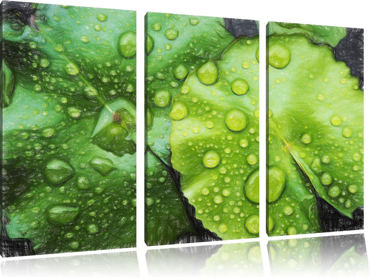 Pixxprint die Blätter mit den Wassertropfen Kunst Buntstift Effekt 3-Teiler Leinwandbild 120x80 Bild