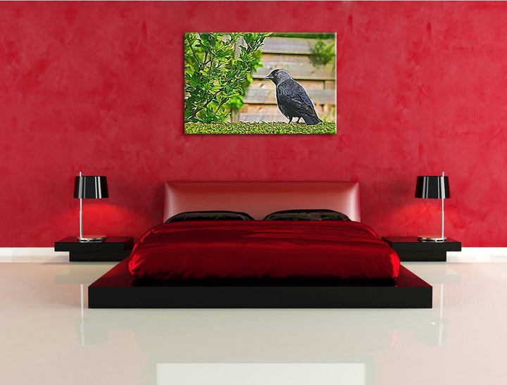 schöner schwarzer Vogel auf Gartenwiese NewArt Format: 100x70 cm auf Leinwand, XXL riesige Bilder fe