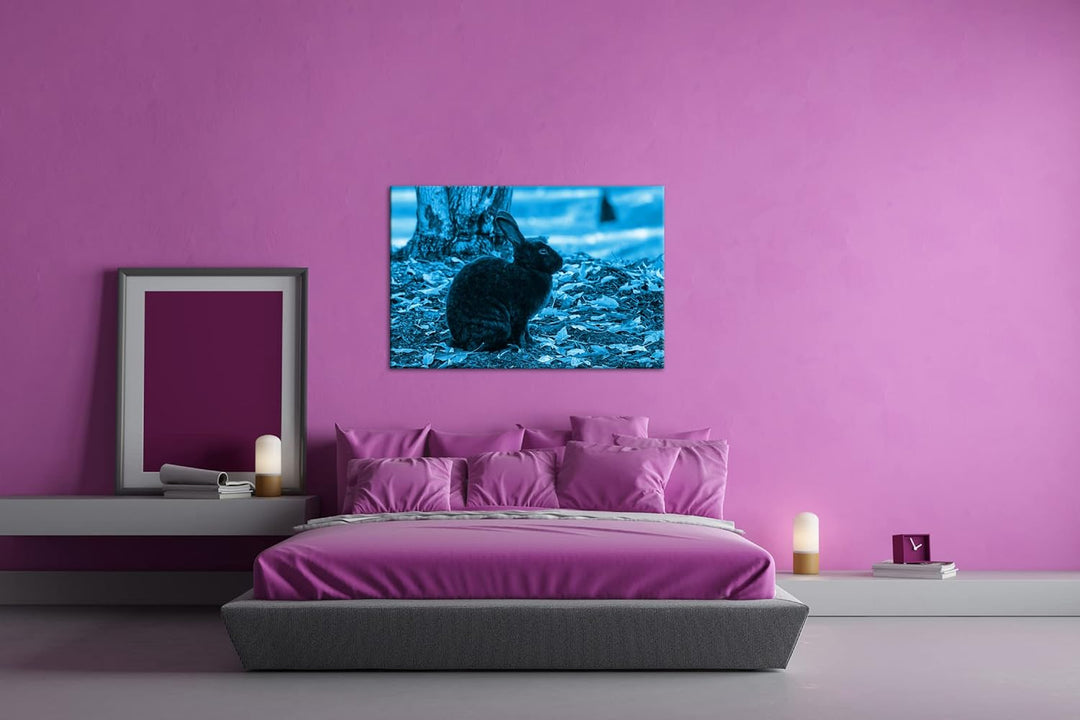 deyoli edler Schwarzer Hase Format: 80x60 Effekt: Monocrome Blau als Leinwand, Motiv fertig gerahmt