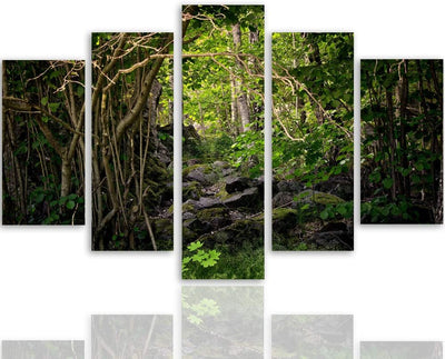 Feeby Wandbild XXL 5 Teilig Natur Leinwandbild Wald Bäume Landschaft grün 300x140 cm Leinwandbild 30