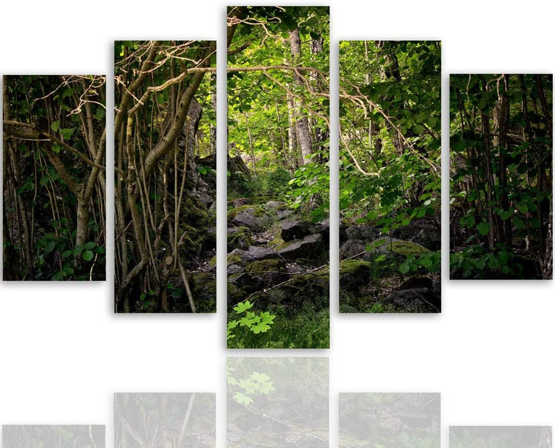 Feeby Wandbild XXL 5 Teilig Natur Leinwandbild Wald Bäume Landschaft grün 300x140 cm Leinwandbild 30