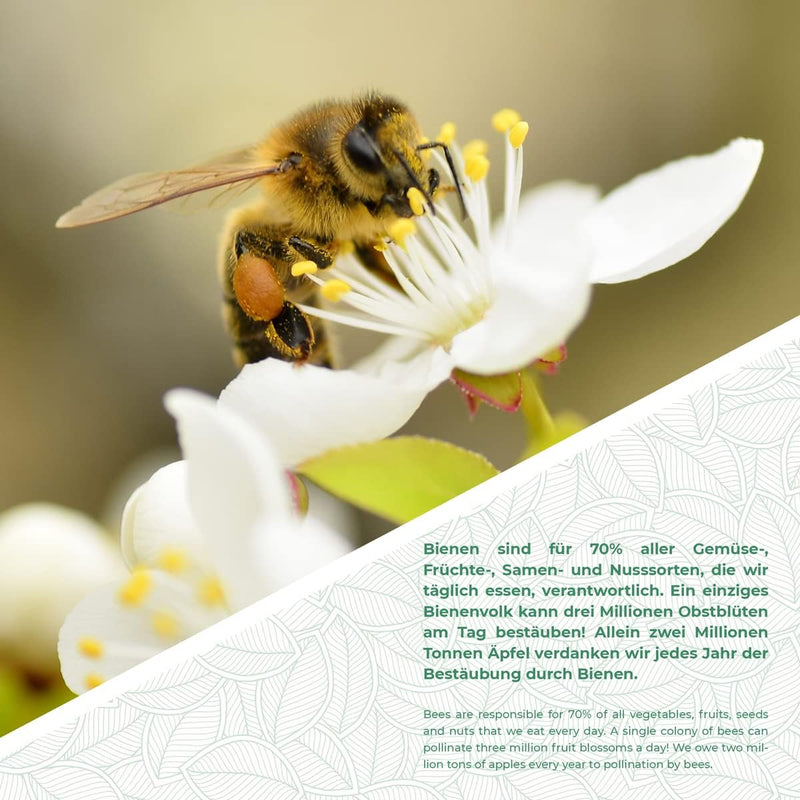 WILDLIFE FRIEND I Bienenhotel aus Naturholz - Insektenhotel, Nisthilfe Unterschlupf für Wildbienen I
