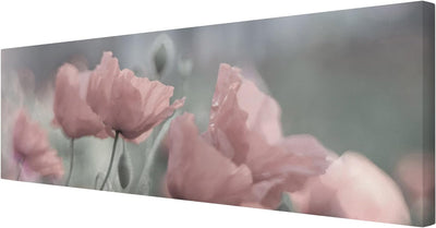 Bilderwelten Leinwandbild - Malerische Mohnblumen - Panorama Quer, 40cm x 120cm, 40cm x 120cm