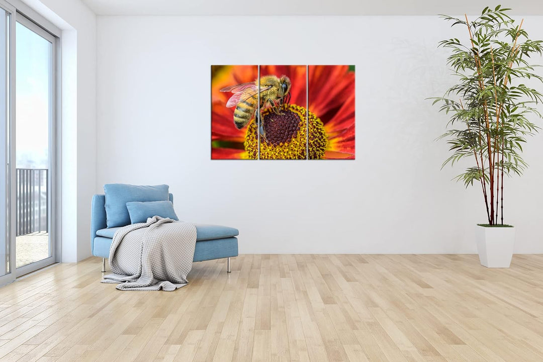 deyoli Biene beim Pollen sammeln Format: 3Teilig als Leinwandbild, Motiv fertig gerahmt auf Echtholz