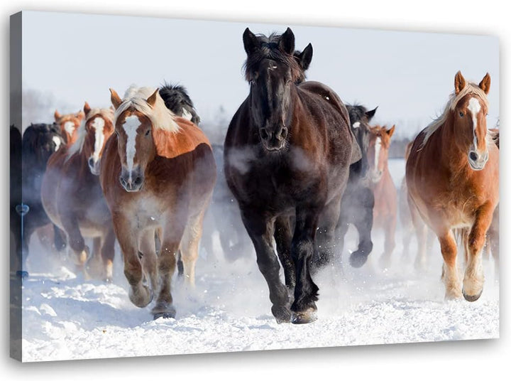 Feeby Vlies Leinwandbild Frei Hengst Laufen Pferde 90x60 cm Druckbild Wandbild Wanddekoration Deko W