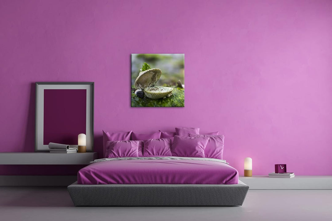 alte Meeresmuschel Format: 60x60 als Leinwandbild, Motiv fertig gerahmt auf Echtholzrahmen, Hochwert