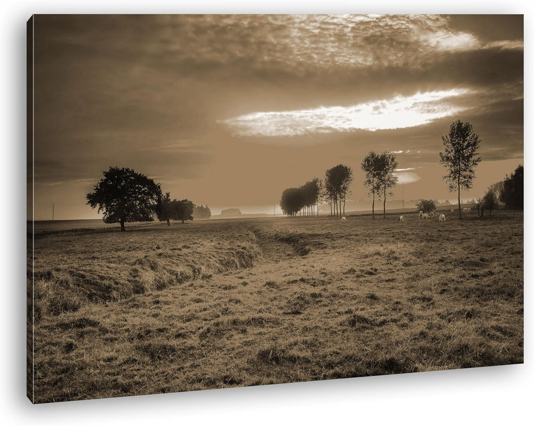 Sonnenaufgang auf den Wiesen Format: 100x70 Effekt: Sepia als Leinwand, Motiv fertig gerahmt auf Ech