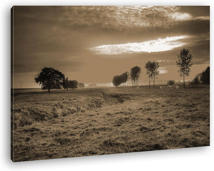 Sonnenaufgang auf den Wiesen Format: 100x70 Effekt: Sepia als Leinwand, Motiv fertig gerahmt auf Ech