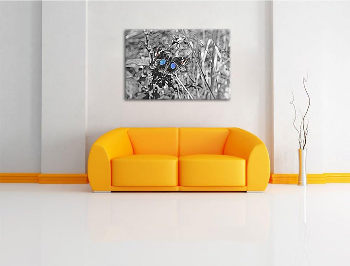 aussergewöhnlicher Schmetterling auf Grashalm schwarz/weiss Deluxe Format: 100x70 cm auf Leinwand, X