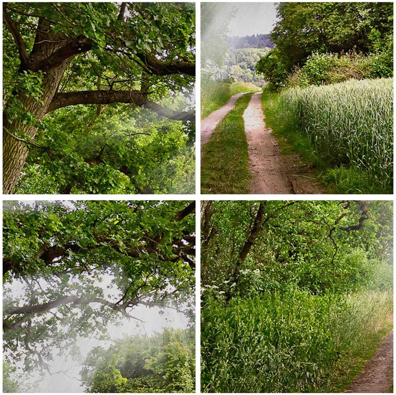 ARTTOR Bilder auf Leinwand 100x70cm Leinwandbild Pfad Natur Wald Grün Gross Wanddeko Bild Schlafzimm