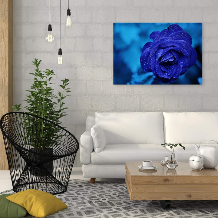 Feeby Leinwandbild Rose Bild Kunstdruck für Wohnzimmer Blau 70x50 cm M14575 70x50 cm, M14575 70x50 c