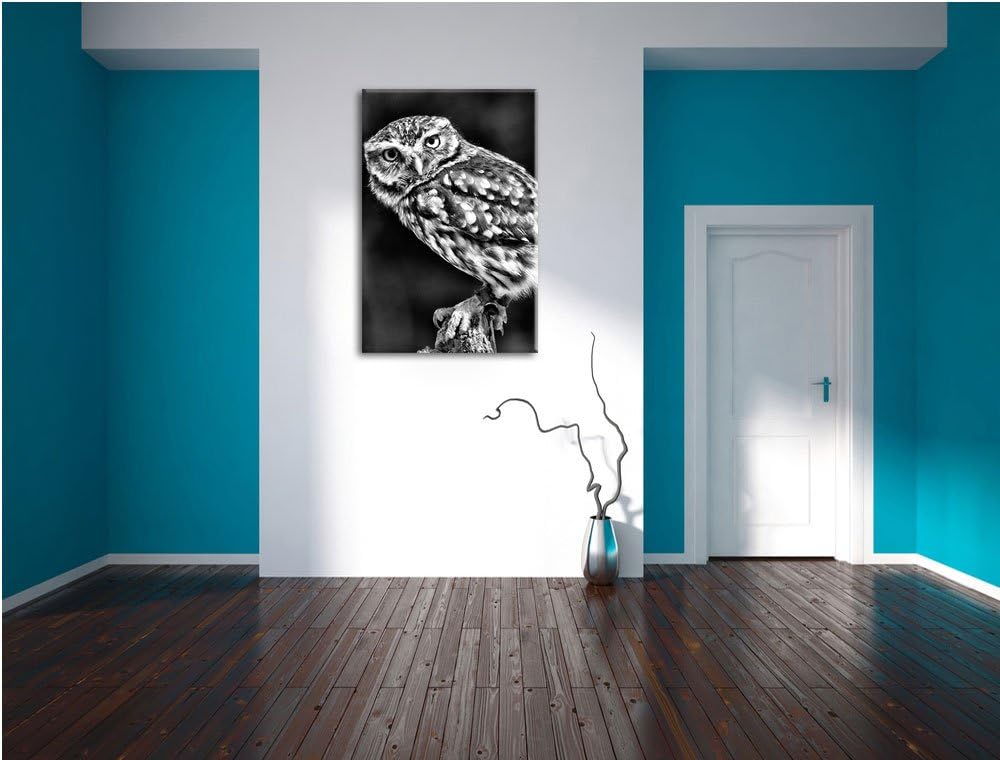 Monocrome, Eule auf Ast, Format: 100x70 auf Leinwand, XXL riesige Bilder fertig gerahmt mit Keilrahm