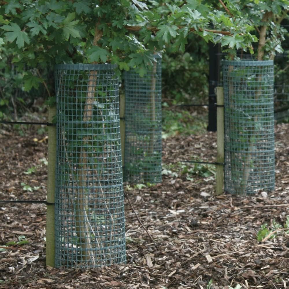 TUBEX Treeguard Strauch-/Baumschutz-Gitter-Röhre Höhe 60cm, Ø 170-200mm, grün, Stammschutz, Fege- un