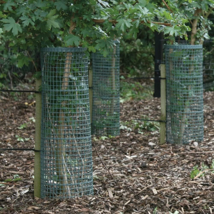 TUBEX Treeguard Strauch-/Baumschutz-Gitter-Röhre Höhe 60cm, Ø 170-200mm, grün, Stammschutz, Fege- un