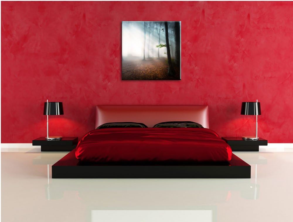 Düsterer Wald im Nebel, Format: 70x70 auf Leinwand, XXL riesige Bilder fertig gerahmt mit Keilrahmen
