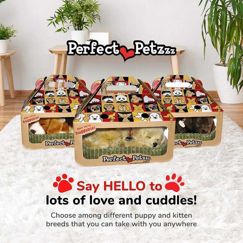 Perfect Petzzz - 4908 - Plüsch - Hund Golden Retriever