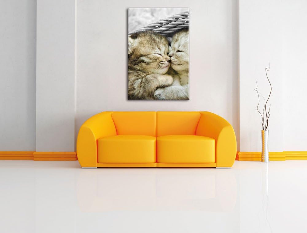Pixxprint Zwei süsse Babykatzen im Korb als Leinwandbild/Grösse: 100x70 cm/Wandbild/Kunstdruck/ferti