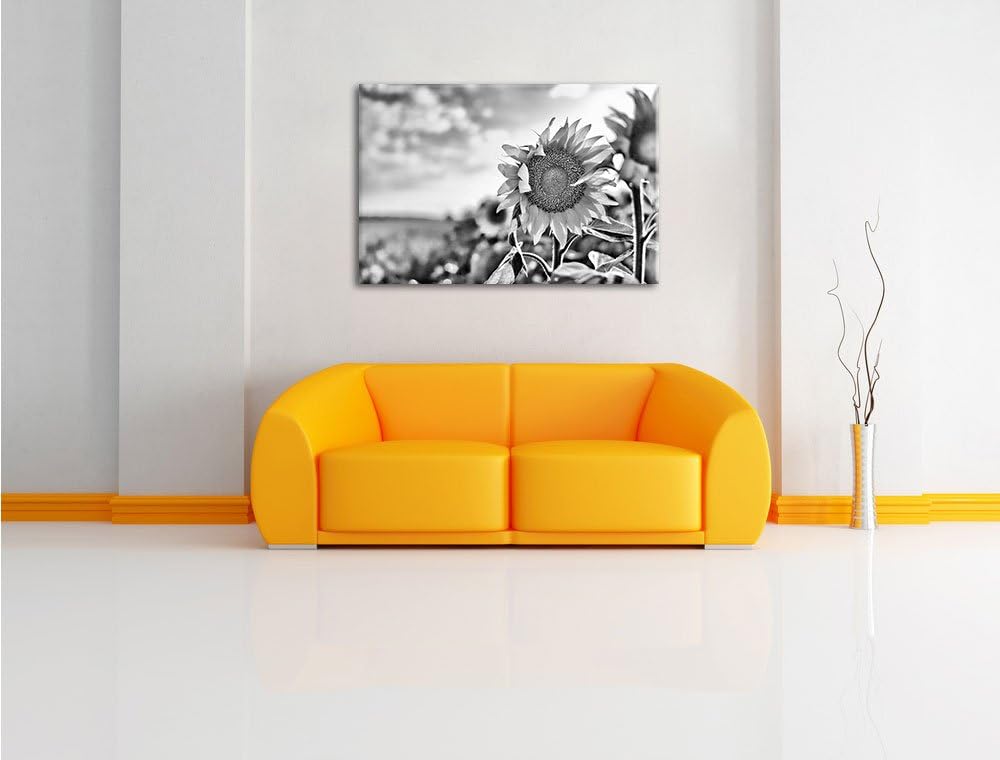 Pixxprint Sonnenblumenfeld SonnenblumeSonne / 100x70cm Leinwandbild bespannt auf Holzrahmen/Wandbild