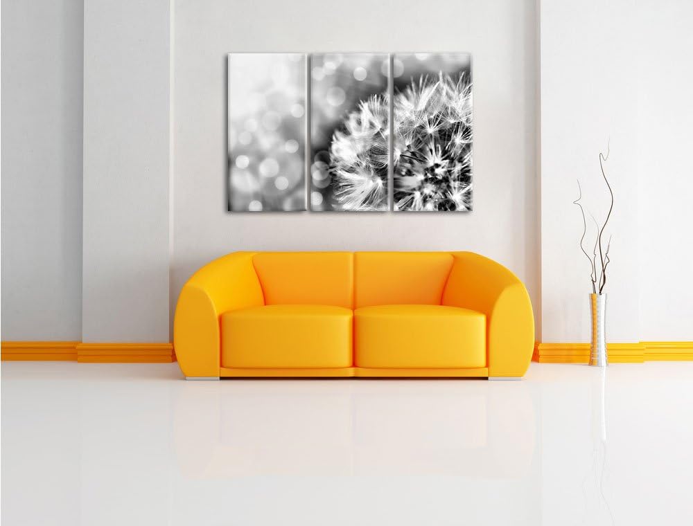 Pixxprint Monocrome, Zauberhafte Pusteblume 3-Teiler Leinwandbild 120x80 Bild auf Leinwand