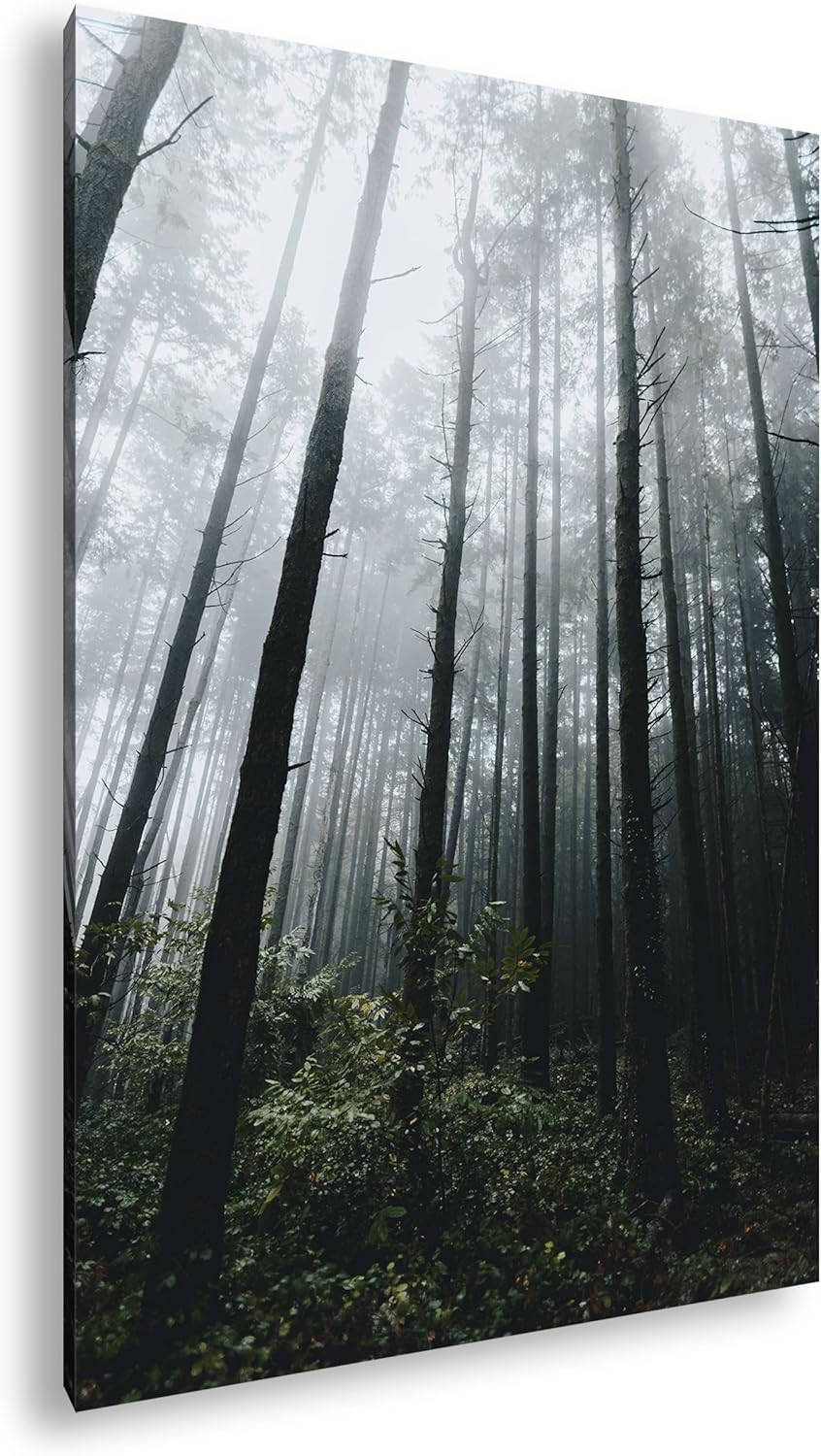 deyoli gigantischer Wald Format: 100x70 cm als Leinwandbild, Motiv fertig gerahmt auf Echtholzrahmen