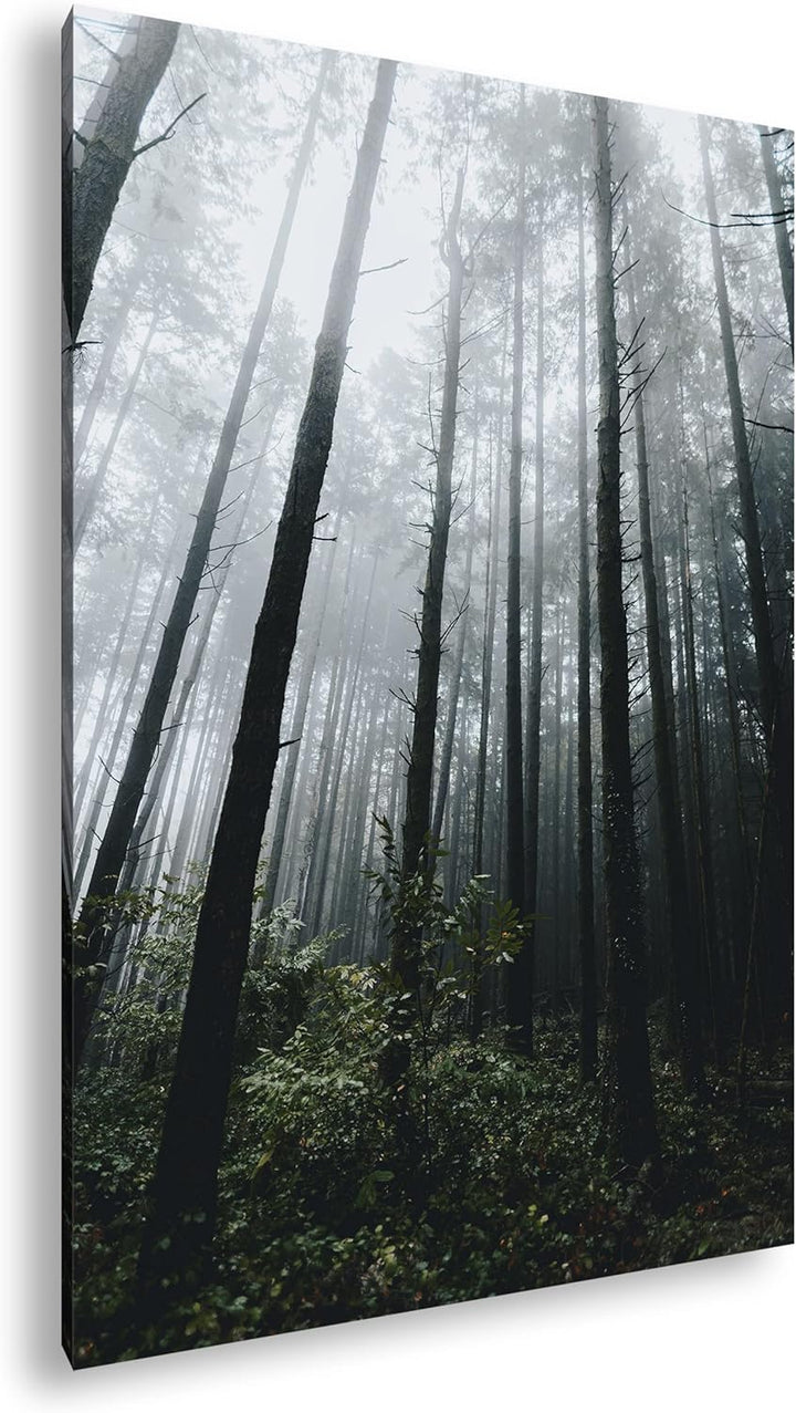 deyoli gigantischer Wald Format: 100x70 cm als Leinwandbild, Motiv fertig gerahmt auf Echtholzrahmen