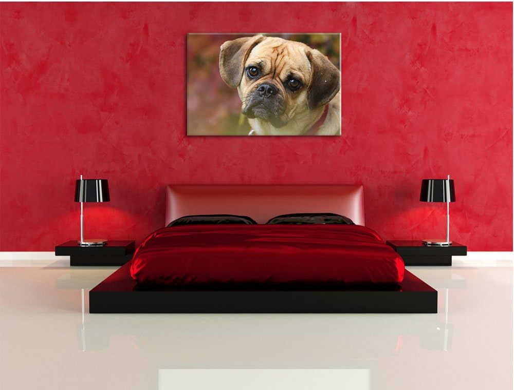Pixxprint Mops Welpe als Leinwandbild/Grösse: 100x70 cm/Wandbild/Kunstdruck/fertig bespannt, 100x70