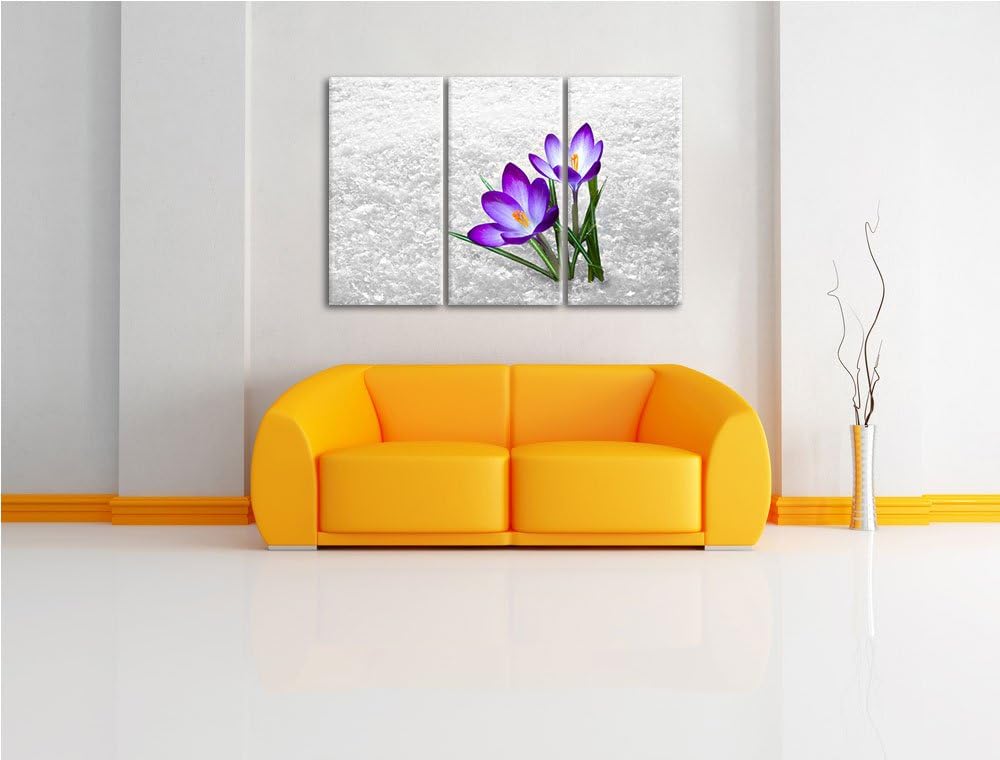 Lila Schnee Krokusse schwarz/weiss 3-Teiler Leinwandbild 120x80 Bild auf Leinwand, XXL riesige Bilde